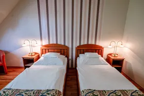 Hotel Erzsébet - Værelse