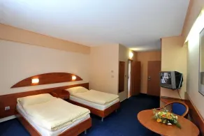Hotel Břízky - Rum