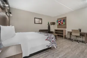 Red Roof Inn Houston Brookhollow - Room