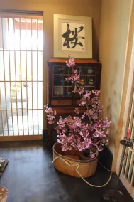 MIYAJIMA BEXTUTEI HATAGOSAKURA - Resepsjon
