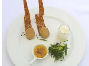 Château Hôtel, Restaurant & Spa De La Commanderie - Restaurant