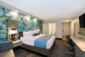 Wingate by Wyndham Goodlettsville - Chambre
