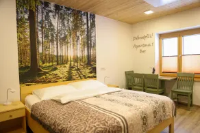 Apartments Storzek - Værelse
