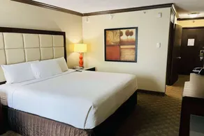 Wingate Houston near NRG Park/Medical Center - Room