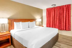 Econo Lodge Inn & Suites Durango - Chambre