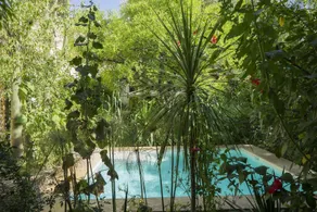 Riad Jardin Des Biehn - Pool