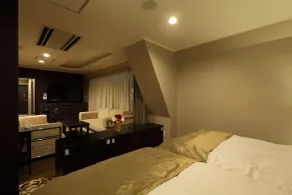 Centurion Hotel Ueno - Room