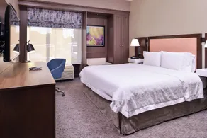 Hampton Inn Albuquerque-University/Midtown - Vue de la chambre