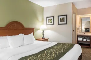 Comfort Inn Pine Grove I-81 Hershey Area - Værelse