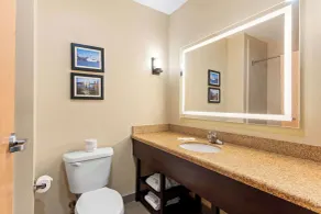 Comfort Suites Gulfport Central - Salle de bain