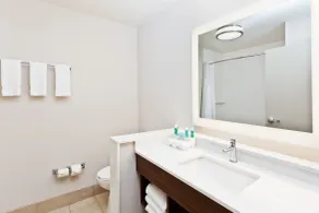 Holiday Inn Express & Suites - Cartersville by IHG - Salle de bain