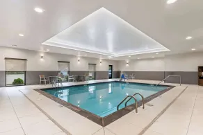 Comfort Suites Columbia I-65 - Piscine