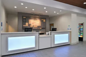 Holiday Inn Express Hotel & Suites La Place by IHG - Réception