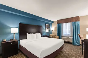 Comfort Inn & Suites Springfield I-55 - Chambre
