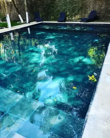 Tierra Maya Hotel Spa & Sanctuary - Pool