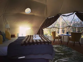 Tui's Nest Glamping - Zimmer