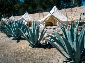 Nomada Glamping & Aguas Termales - San Miguel de Allende X NANTLI LIVING - Habitación