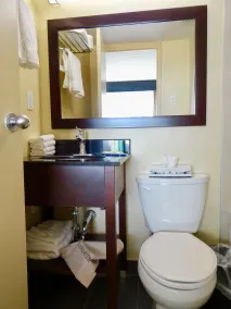Quality Hotel Dorval Aeroport - Salle de bain