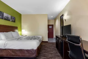 Sleep Inn & Suites Millbrook - Prattville - Chambre