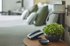 Shangri-La Singapore - Habitación