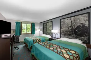 Super 8 by Wyndham Duluth - Chambre
