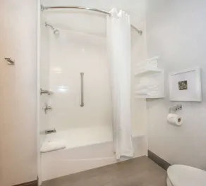 Hampton Inn Gaffney - Salle de bain