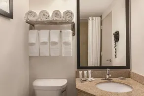 Country Inn & Suites by Radisson, Woodbury, MN - Salle de bain