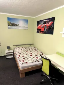 Large apartment for 3-11 guests in the Halle Leipzig Area - Rom