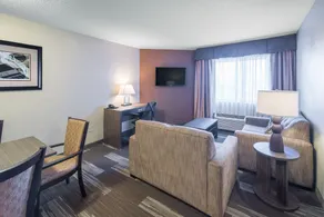 Holiday Inn Express Hotel & Suites St. Paul - Woodbury by IHG - Chambre