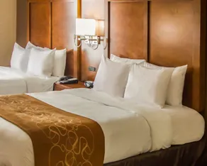 Quality Suites NYC Gateway - Chambre