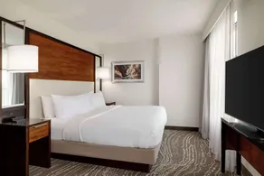 Embassy Suites Chattanooga / Hamilton Place - Chambre