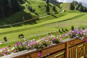 Hotel Bergkristall - Vista dalla camera
