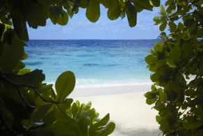 Dusit Thani Maldives - 50 percent off on Transfers for Stays of 5 Nights stay until 20 December 2026 - Chambre