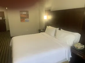 Holiday Inn Express Hotel & Suites West Point-Fort Montgomery by IHG - Rom