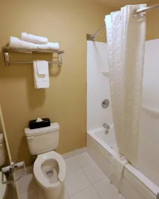 Country Inn & Suites by Radisson, Charlotte I-85 Airport, NC - Salle de bain