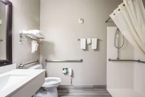 Quality Inn & Suites Lodi I-90 - Badeværelse