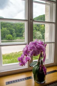 Chambre privée - Vue de la chambre