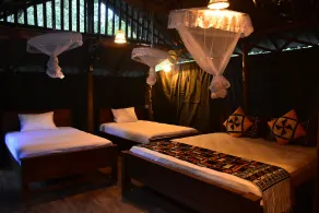 Lizard Safari Lodge - Room