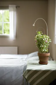 Ekologiska Fru Gran B&B i Tiveden - Room
