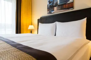 Hotel Euler Basel - Rom