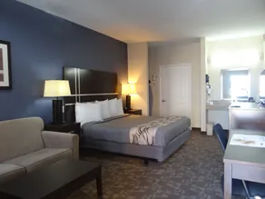  Crystal Inn - Garth Rd - Chambre
