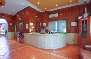 Hospedium Hotel Plaza Manjón - Reception