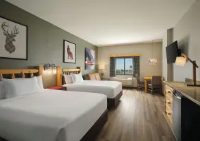 Great Wolf Lodge Anaheim, CA - Chambre