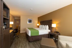 Quality Inn & Suites - Room