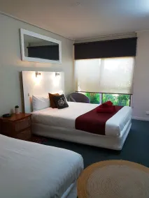 Bidgee Motor Inn - Room