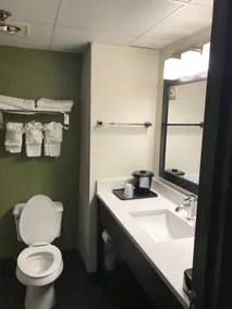 Sleep Inn & Suites near Sports World Blvd - Baño
