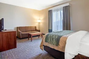 Comfort Inn & Suites Norman near University - Vue de la chambre