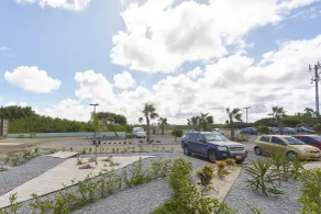 Courtyard by Marriott Aruba Resort - Room