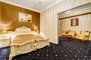 Pałacyk Otrębusy Business & Spa - Room