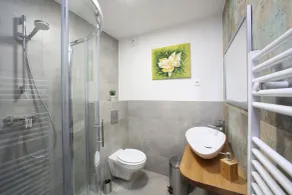 Hiša Pr'Pristavc - Bathroom